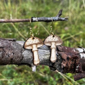 Kärpässieni